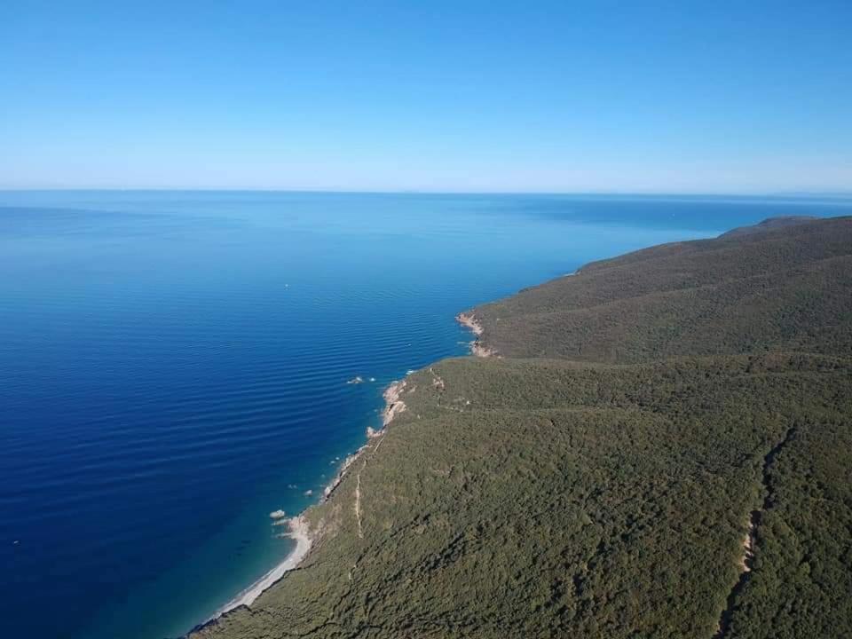 شقة Il Balcone Sull'Elba بيومبينوا المظهر الخارجي الصورة