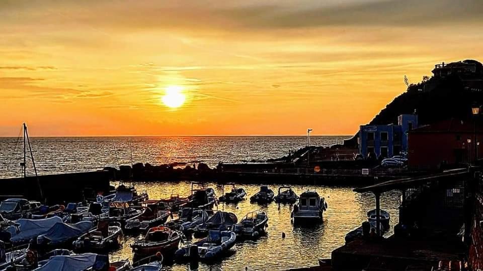 شقة Il Balcone Sull'Elba بيومبينوا المظهر الخارجي الصورة