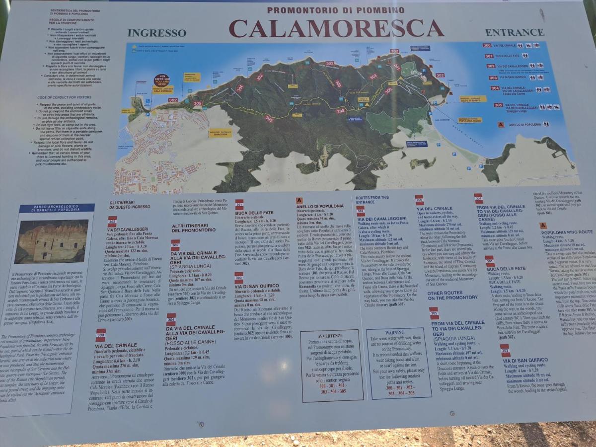 شقة Il Balcone Sull'Elba بيومبينوا المظهر الخارجي الصورة